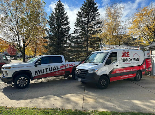 Ace Handyman Services Chicagoland