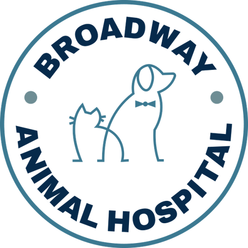 Broadway Animal Hospital