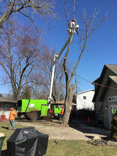 Phenomenal Tree Service