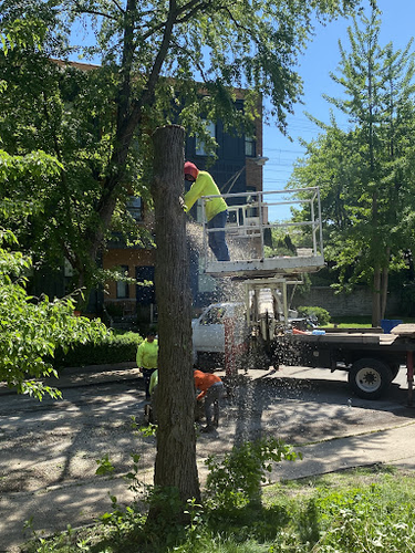 RGP Tree Service