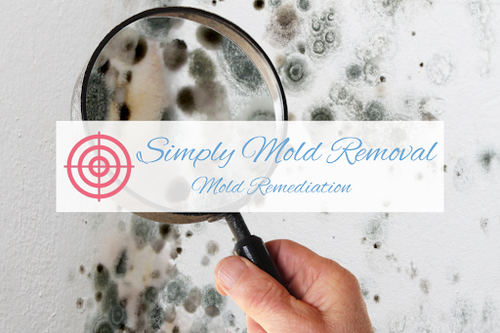 Simply Mold Removal