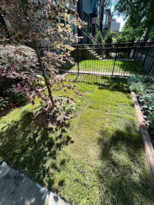 Skyline Exteriors Landscaping & Lawn Care