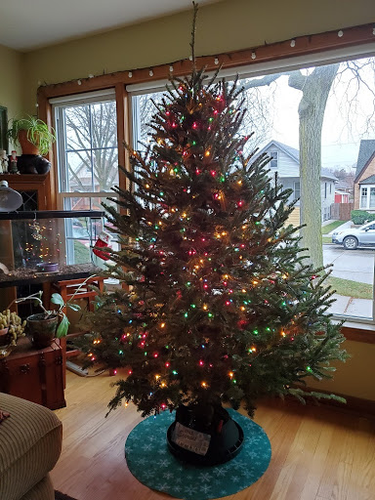 Treesanta