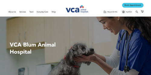 VCA Blum Animal Hospital